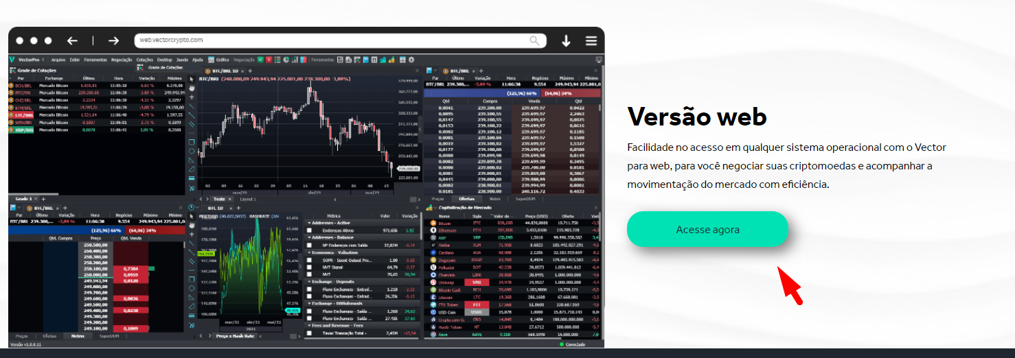 vers_o_web_vector.png