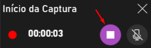 icone_pausar_no_inicio_da_captura.png