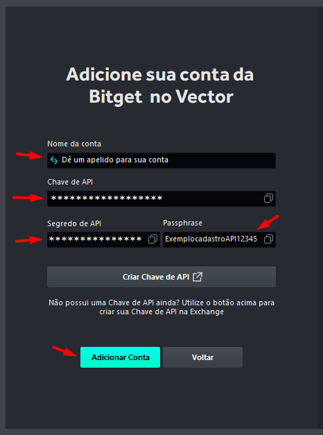 campos_para_adicionar_chave_de_api_no_vector.png